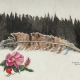 Rose Feather Painting