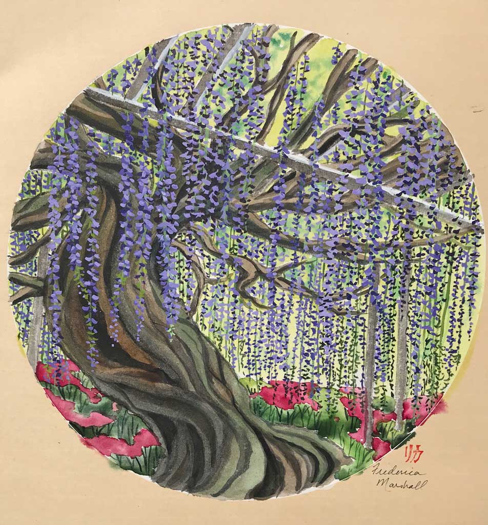 Ancient Wisteria | Frederica Marshall, Japanese Sumi-e Brush Painting and  Watercolor Master Teacher and Fine Artist
