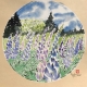 Lupine Meadow