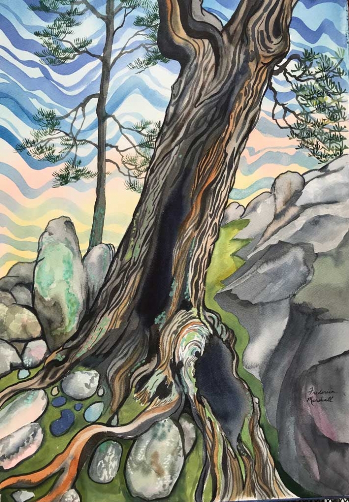 Stone Dreaming Watercolor by Frederica Marshall